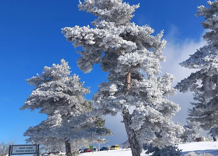 Montlo Relais Des Cerfs