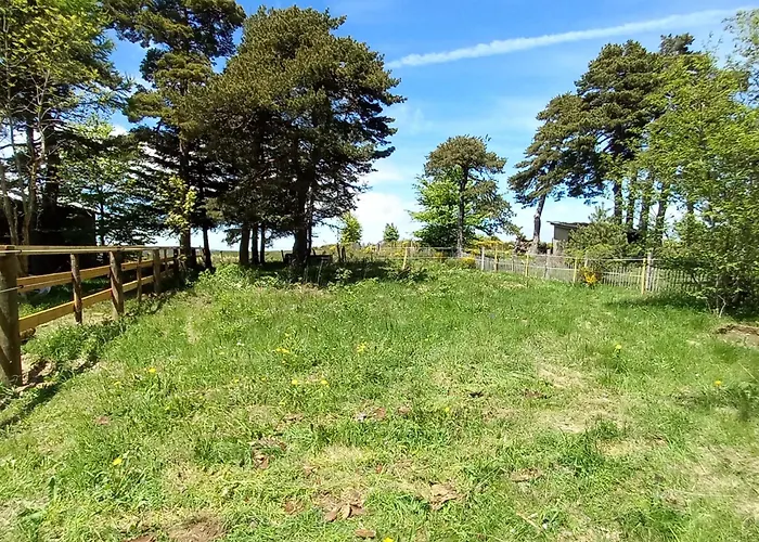 Montlo Relais Des Cerfs فندق